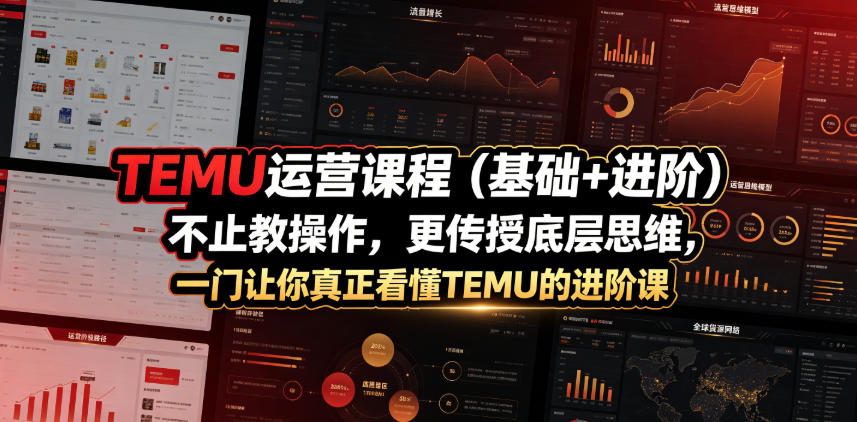 TEMU运营课程(基础+进阶)，不止教操作，更传授底层思维，一门让你真正看懂TEMU的进阶课-独家科技资源网