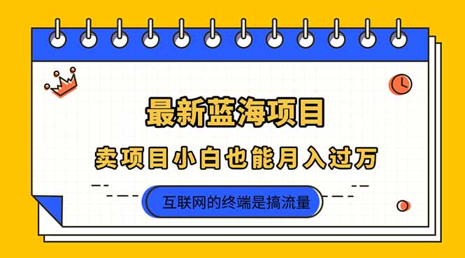 2025年最新蓝海项目，卖项目小白也能月入过万-独家科技资源网