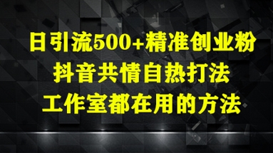 日引流500+精准创业粉，抖音共情自热打法，工作室都在用的方法-独家科技资源网