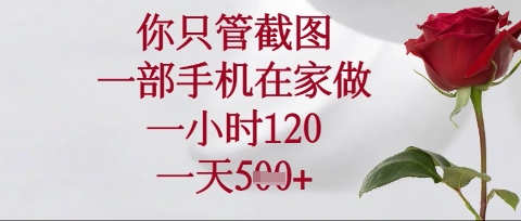 你只管截图，一部手机在家操作，一小时120.一天5张【揭秘】-独家科技资源网