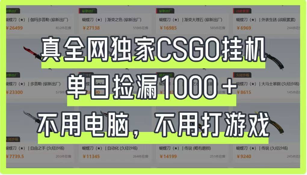 真全网独家CSGO挂机，单日捡漏1000+，不用电脑，不用养号-独家科技资源网