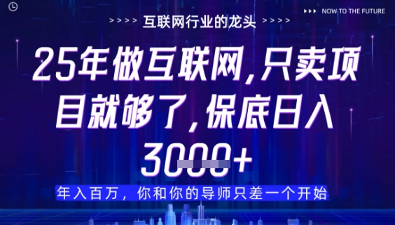 什么！25年你还在找项目做？风口早就变了，卖项目才是稳挣不赔【揭秘】-独家科技资源网