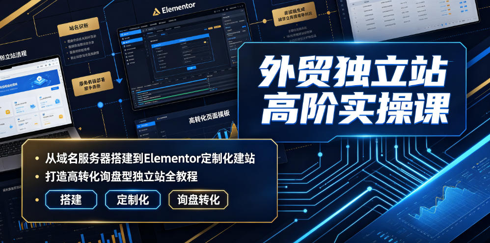 外贸独立站高阶实操课｜从域名服务器搭建到Elementor定制化建站，打造高转化询盘型独立站全教程-独家科技资源网