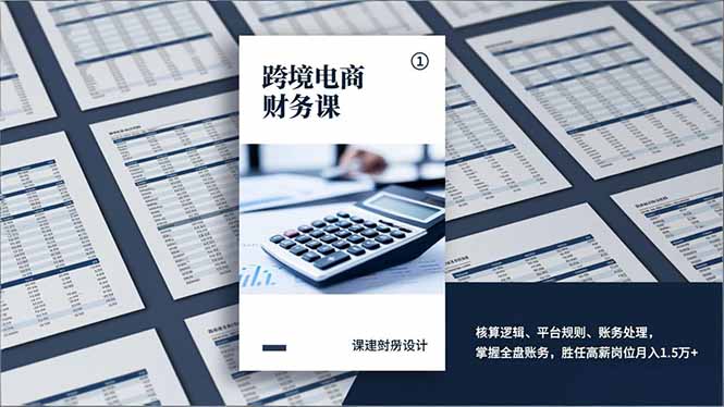 跨境电商财务课，核算逻辑、平台规则、账务处理，掌握全盘账务，胜任高薪岗位月入1.5万+-独家科技资源网