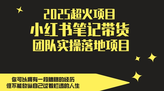 2025超火项目，副业最佳选择，小红书笔记带货团队实操落地项目，，轻松日入5张-独家科技资源网
