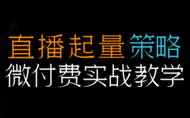 半野老师·直播带货起量与微付费必学课视频号(更新2026)-独家科技资源网