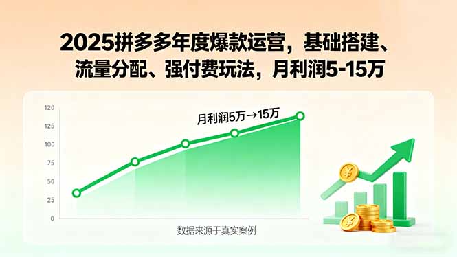 2025拼多多年度爆款运营，基础搭建、流量分配、强付费玩法，月利润5-15万-独家科技资源网