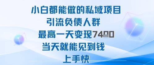 2025年小白都能做的私域项目引流负债人群最高一天变现1k+高变现难度低当天就能见到钱上手快-独家科技资源网