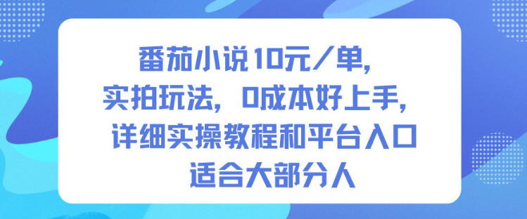 番茄小说10米每单,实拍玩法,0成本好上手,详细实操教程和平台入口适合大部分人-独家科技资源网