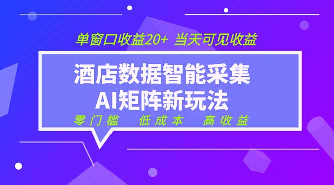 2026酒店数据采集ai智能矩阵新风口  低成本   高收益   当天见收益   单窗口20+-独家科技资源网