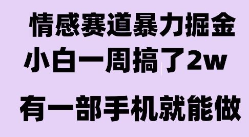 情感暴力掘金项目，新人操作一周挣了2W，长期稳定小白可做【揭秘】-独家科技资源网