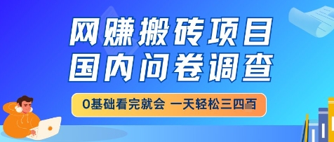 网创搬砖项目，国内问卷调查，小白轻松上手，一天三四张的也不难，干就完了【揭秘】-独家科技资源网