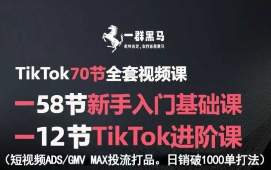 TikTok全套视频课，新手入门+进阶课，短视频ADS-GMV MAX投流打品，日销破1000单打法-独家科技资源网