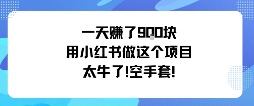 一天挣了9张用小红书做这个项目太牛了，空手套-独家科技资源网