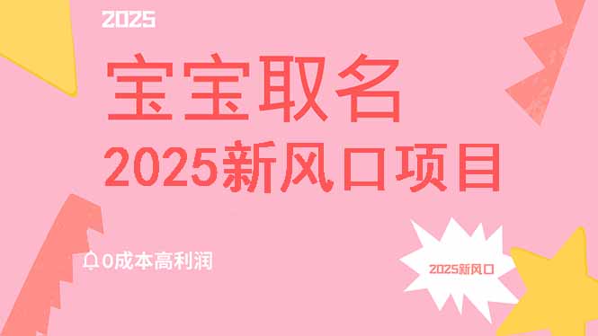2025新风口项目宝宝取名，0成本高利润，附保姆级教程，月入过万不是梦-独家科技资源网