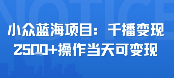 小众蓝海项目，千播变现2.5k+操作当天可变现-独家科技资源网