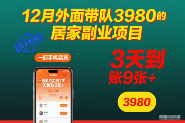12月外面带队3980的居家副业项目，一部手机实测3天到账9张+，首发教程【揭秘】-独家科技资源网