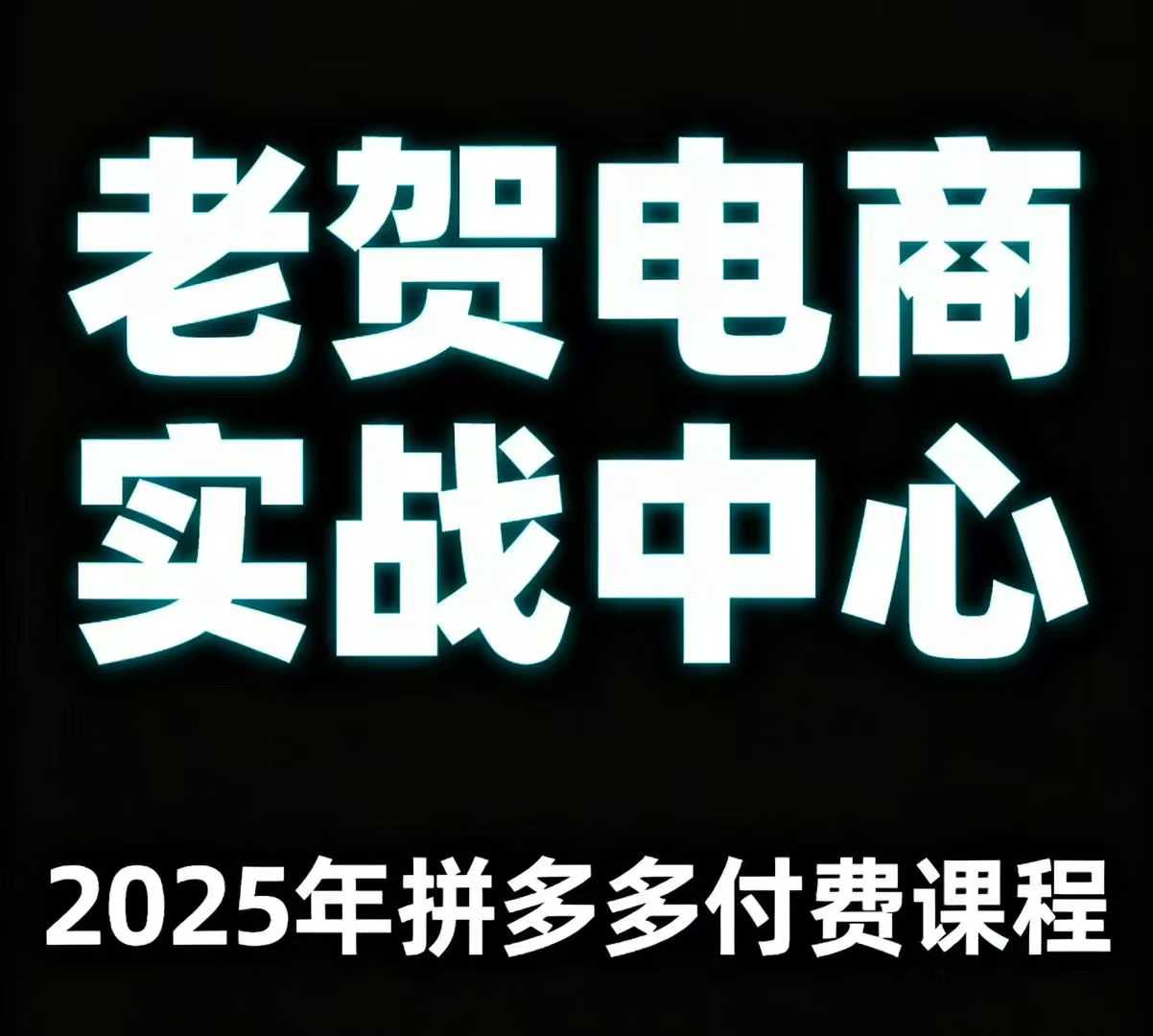 老贺电商2025年拼多多付费课程，用通俗易懂的方法告诉你多多怎么玩-独家科技资源网