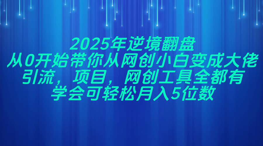 2025年逆境翻盘，从0开始带你从网创小白变成大佬，引流，项目，网创工…-独家科技资源网