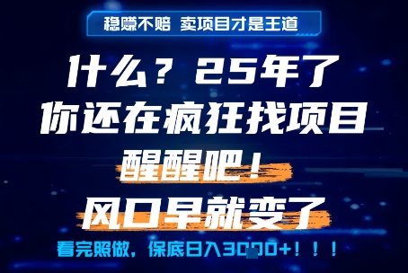 什么？25年你还在疯狂找项目做，醒醒吧，看完这些你全都懂了！【揭秘】-独家科技资源网