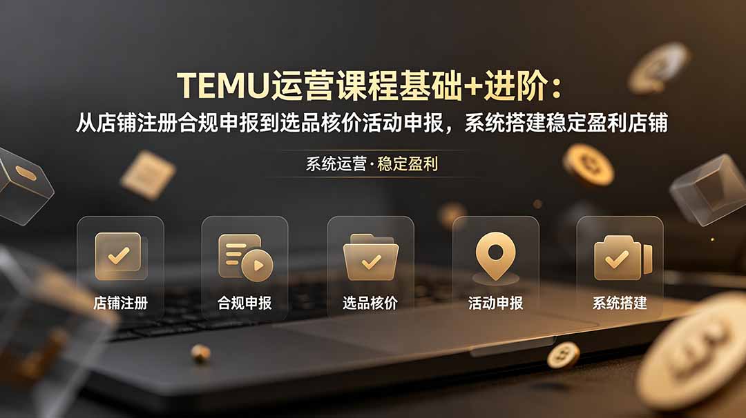 TEMU运营课程(基础+进阶-独家科技资源网