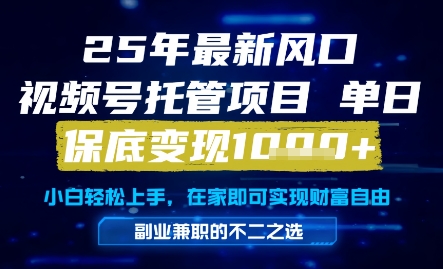 25年最新风口，视频号托管项目，单日保底变现1k+，手把手教学【揭秘】-独家科技资源网