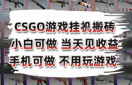 CSGO游戏挂G搬砖，小白纯手机即可操作，不用电脑打游戏，日入3张+，副业网创项目【揭秘】-独家科技资源网