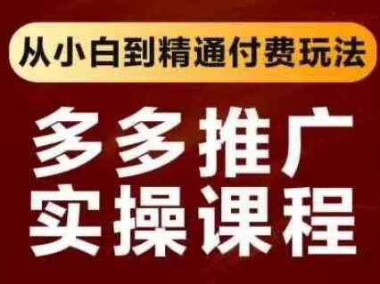 拼多多推广实操课程，从小白到精通付费玩法-独家科技资源网