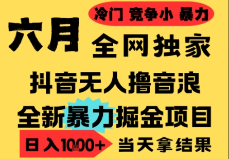 25年6月高爆抖音无人直播最新撸音浪掘金项目，小白可做，无脑日入1k+，门槛低可批量矩阵【揭秘】-独家科技资源网