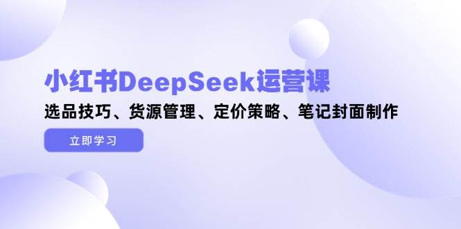 小红书DeepSeek运营课，选品技巧、货源管理、定价策略、笔记封面制作-独家科技资源网