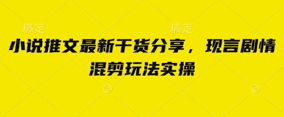 小说推文最新干货分享，现言剧情混剪玩法实操-独家科技资源网