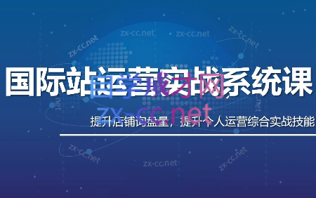 白老师·国际站运营实战系统(高质量询盘增长课)(更新)-独家科技资源网