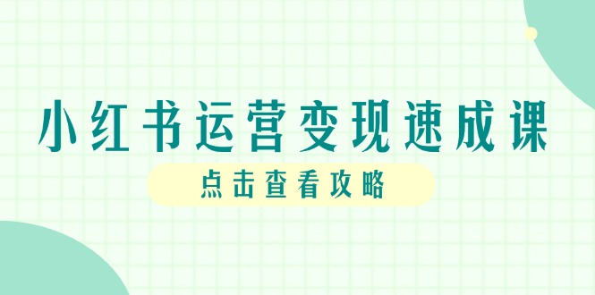 小红书运营变现速成课，账号搭建到暴力起号，个人IP全流程指南-独家科技资源网