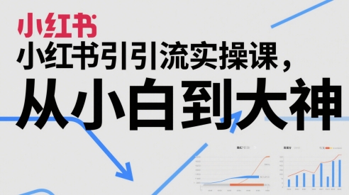 小红书引流实操课，从小白到大神-独家科技资源网