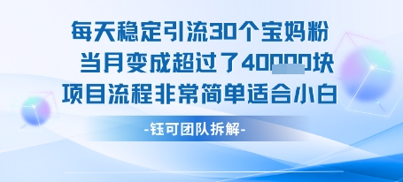 每天稳定引流30个人 当月变成超过了4个W项目流程非常简单适合小白-独家科技资源网