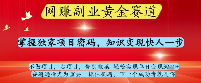 网创副业黄全赛道，掌握独家项目密码，知识变现快人一步，告别韭菜轻松实现单日变现1k+【揭秘】-独家科技资源网