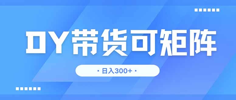 DY带货，日入300＋矩阵无上限-独家科技资源网
