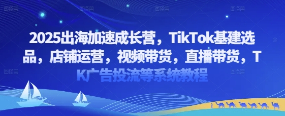 2025出海加速成长营，TikTok基建选品，店铺运营，视频带货，直播带货，TK广告投流等系统教程-独家科技资源网