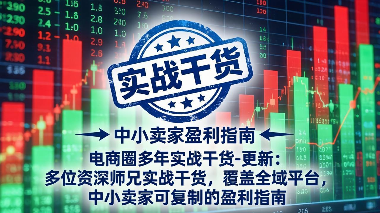 电商圈多年实战干货-更新5月10：多位资深师兄实战干货/覆盖全域平台，中小卖家可复制的盈利指南-独家科技资源网