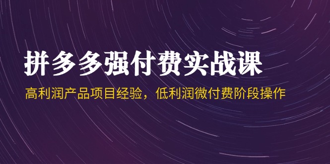 拼多多强付费实战课-44期，高利润产品项目经验，低利润微付费阶段操作-独家科技资源网