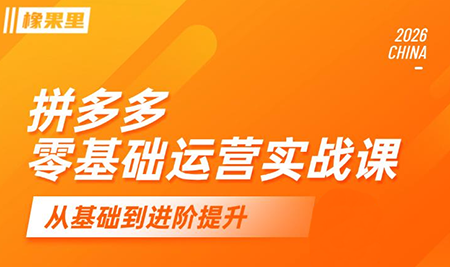 仙道电商·拼多多零基础运营实战课-独家科技资源网