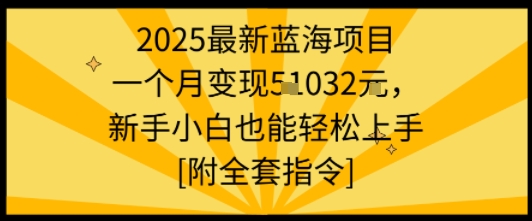 2025最新蓝海项目一个月变现1w+新手小白也能轻松上手【附全套指令】-独家科技资源网