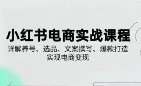 小红书从0-1实操课(2023-2025)，详解养号、选品、文案撰写、爆款打造实现电商变现-独家科技资源网