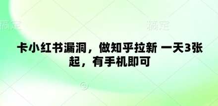 卡小红书漏洞，做知乎拉新 一天3张起，有手机即可-独家科技资源网