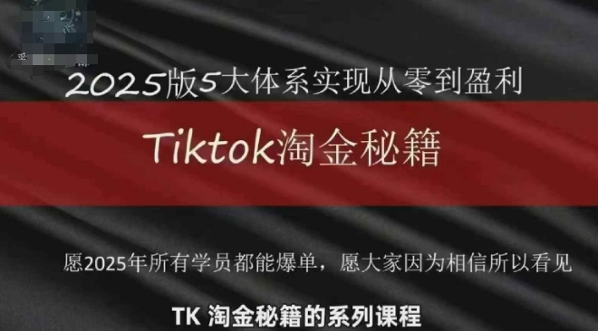 TikTok跨境2025淘金秘籍，​2025TikTok从0到盈利变现-独家科技资源网