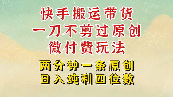 快手黑科技搬运带货，一刀不剪过原创，微付费投流玩法，轻松日入四位数...-独家科技资源网