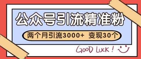 公众号精准粉引流玩法，2个月3000+精准粉，变现30个W【揭秘】-独家科技资源网