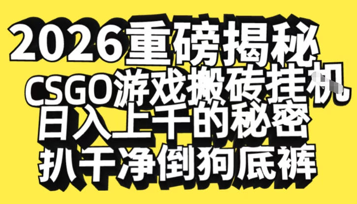 2026开年重磅解密，CSGO游戏搬砖挂G日入1k+的秘密，把倒狗的底裤扒干【揭秘】-独家科技资源网