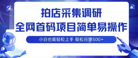 拍店采集调研，全网首码项目，简单易操作， 小白也能轻松上手，多账号操作，轻松日入5张【揭秘】-独家科技资源网