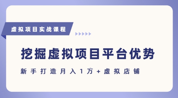 抓住虚拟项目各平台优势，新手轻松月入1W+(给出具体建议)-独家科技资源网